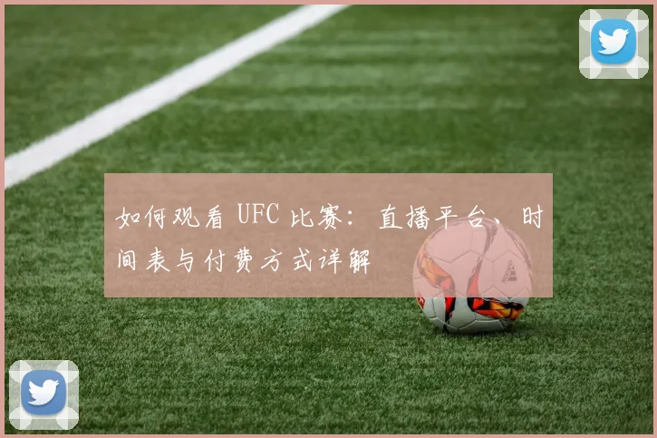 如何观看 UFC 比赛:直播平台、时间表与付费方式详解