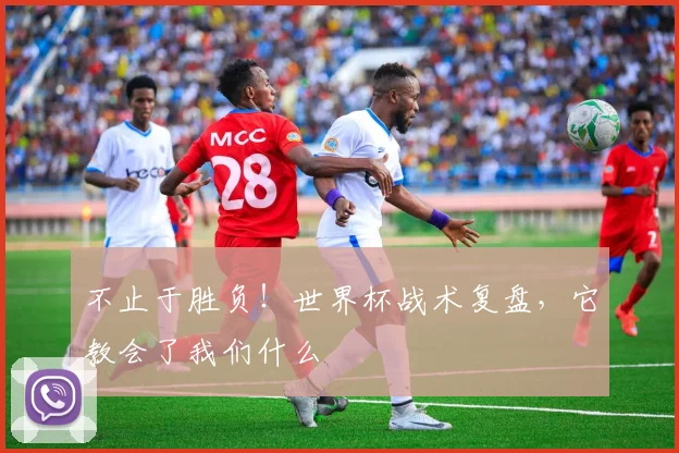 不止于胜负!世界杯战术复盘,它教会了我们什么
